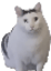 $HUH